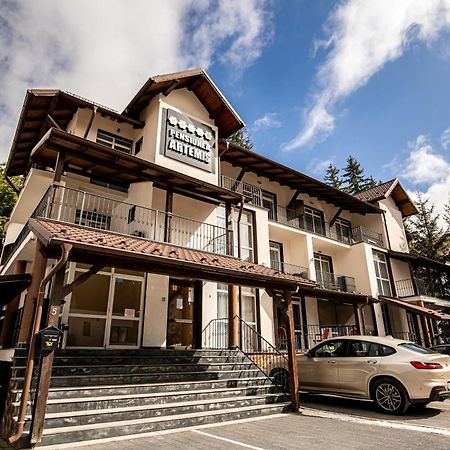 Artemis Villa Poiana Brasov Exterior foto