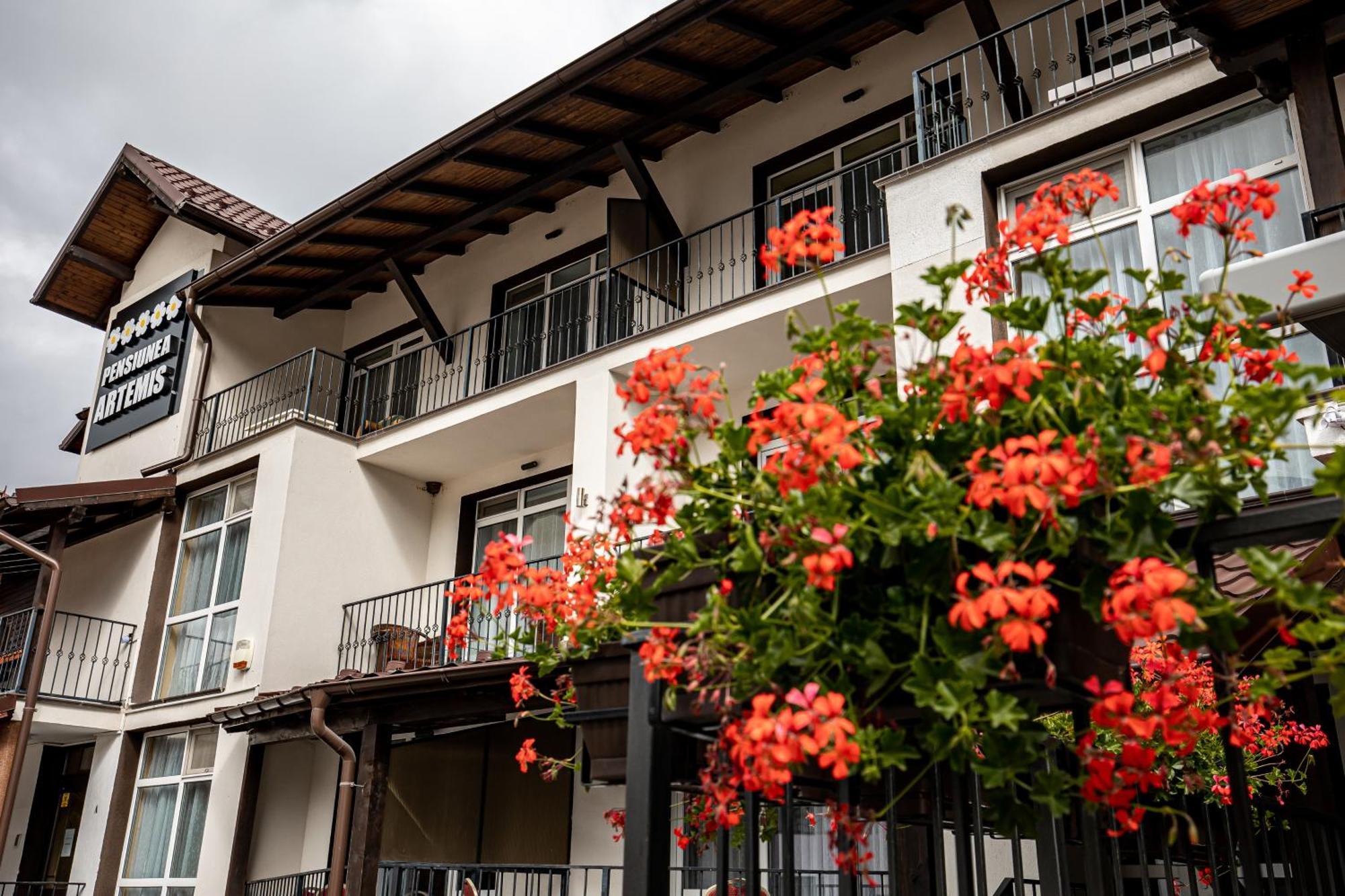 Artemis Villa Poiana Brasov Exterior foto